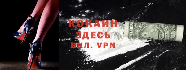 шишки Алексин