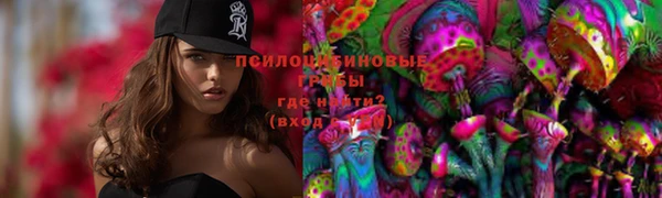 шишки Алексин
