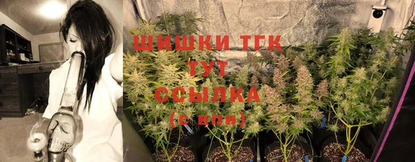 шишки Алексин