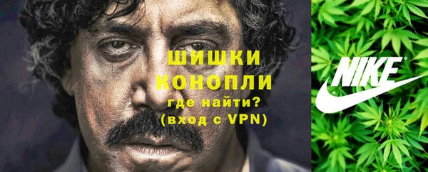 шишки Алексин
