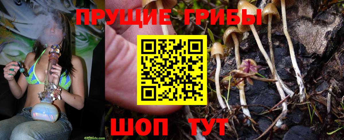Галлюциногенные грибы мухоморы  Галлюциногенные грибы мицелий  Вход с VPN  Старая Русса 